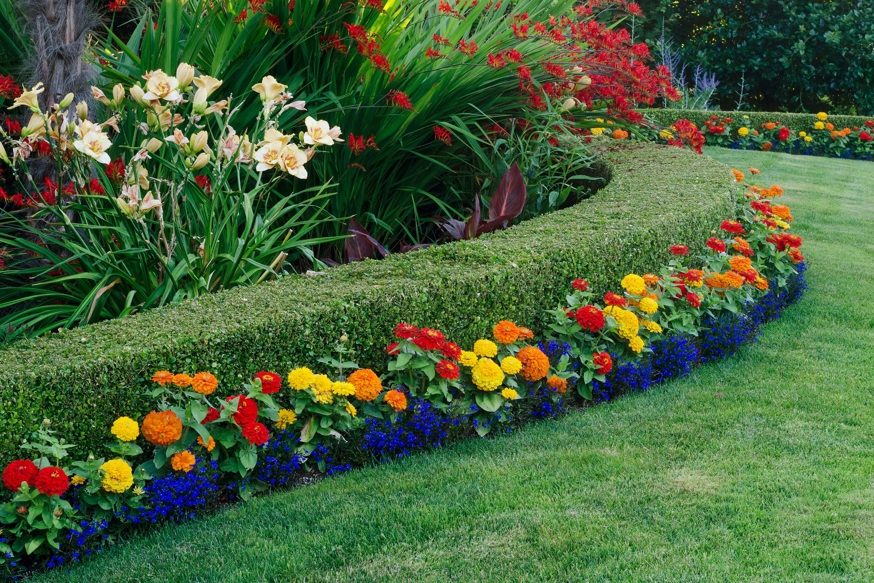 flower garden hedge - circle maintenance brisbane