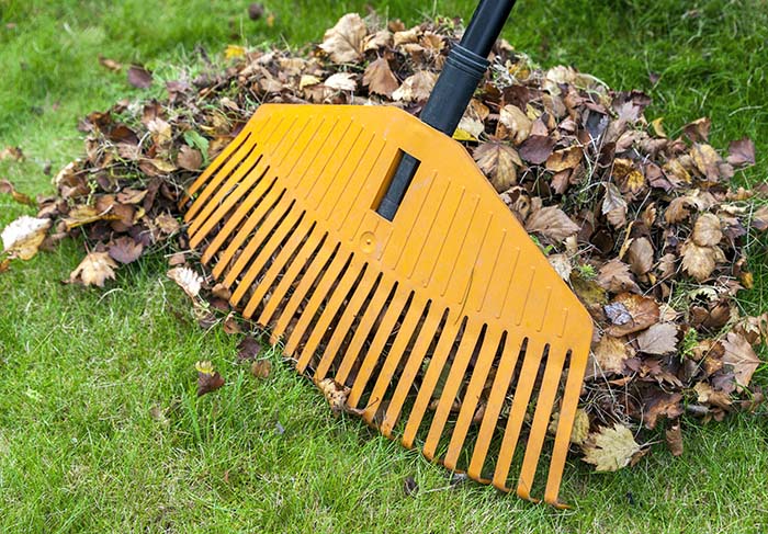 Garden Cleanups Brisbane - Circle Maintenance