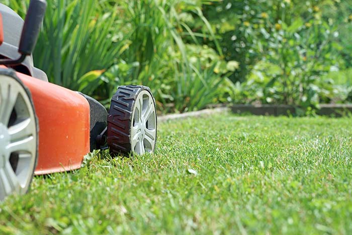Lawn Mowing Brisbane - Circle Maintenance