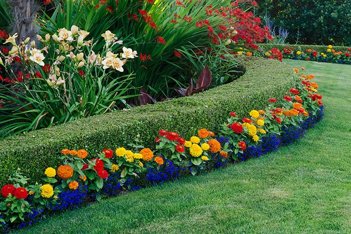 Soft Landscaping Brisbane - Circle Maintenance