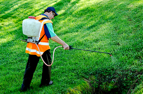 lawn mowing west brisbane