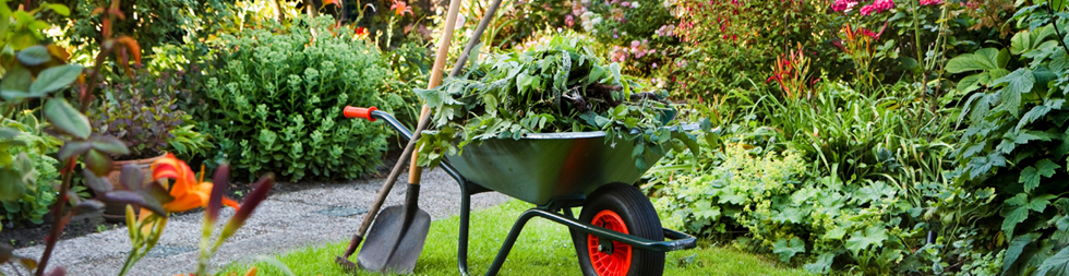 Garden clean ups brisbane - Circle Maintenance