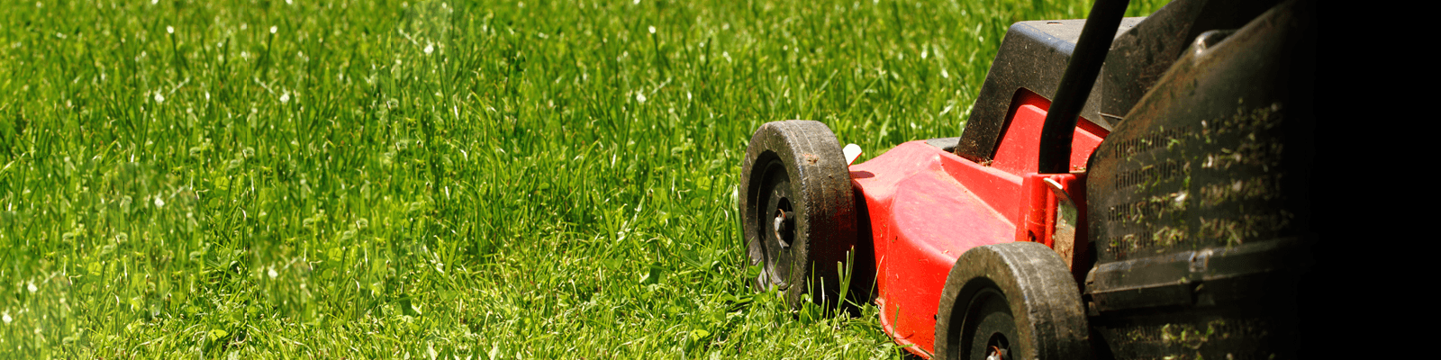 lawn mowing brisbane - Circle Maintenance