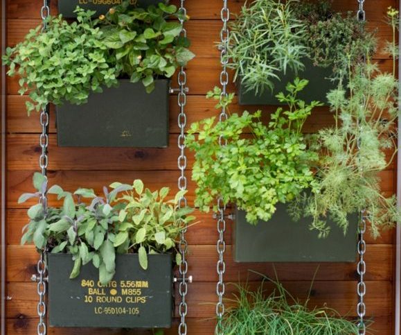 vertical garden - brisbane lawn care