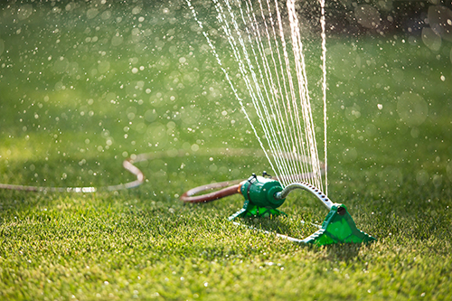 lawn mowing brisbane 